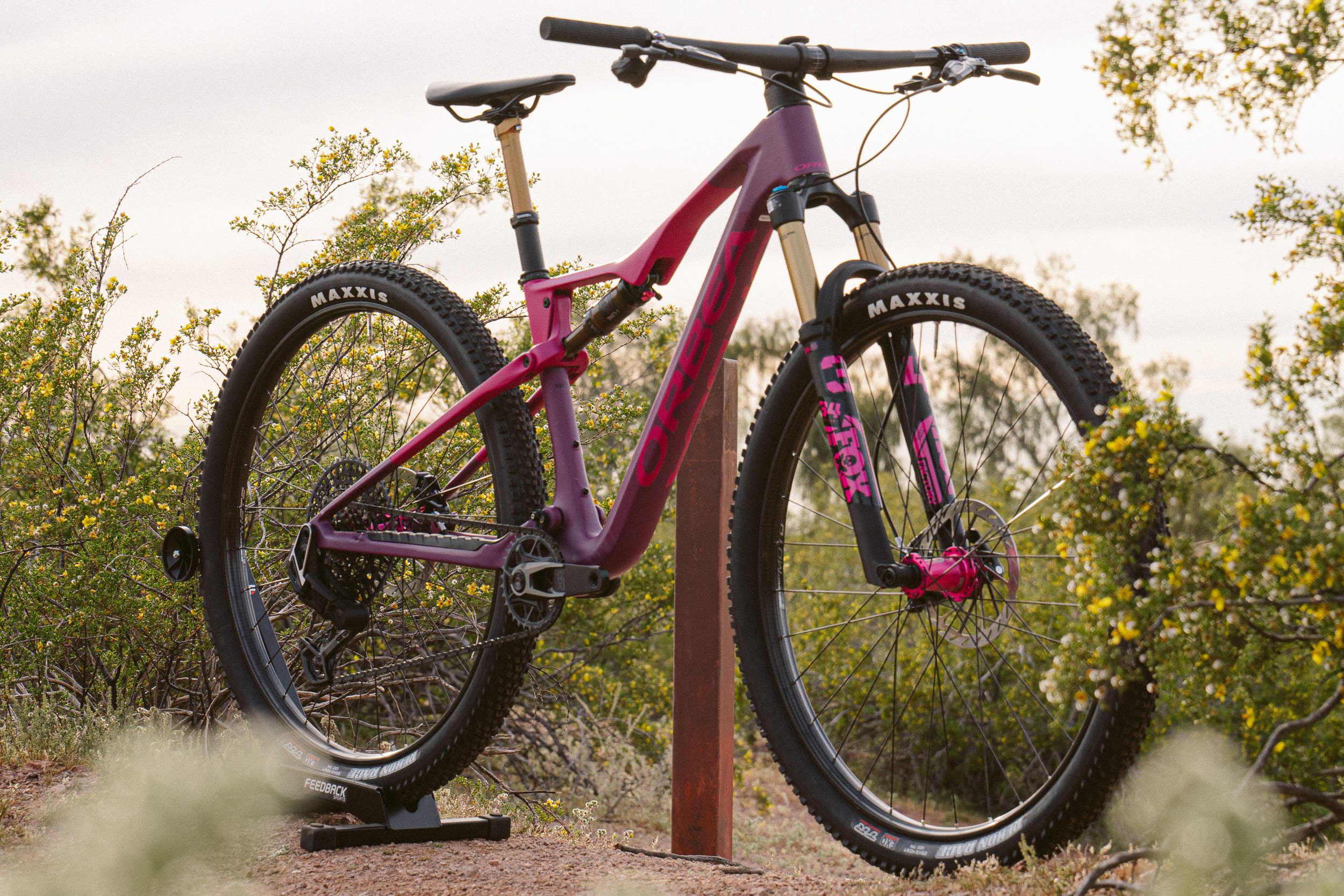 Orbea Bikes | Start Your Dream Build | Regroup